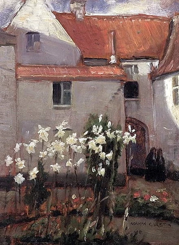 Madonna Lilies